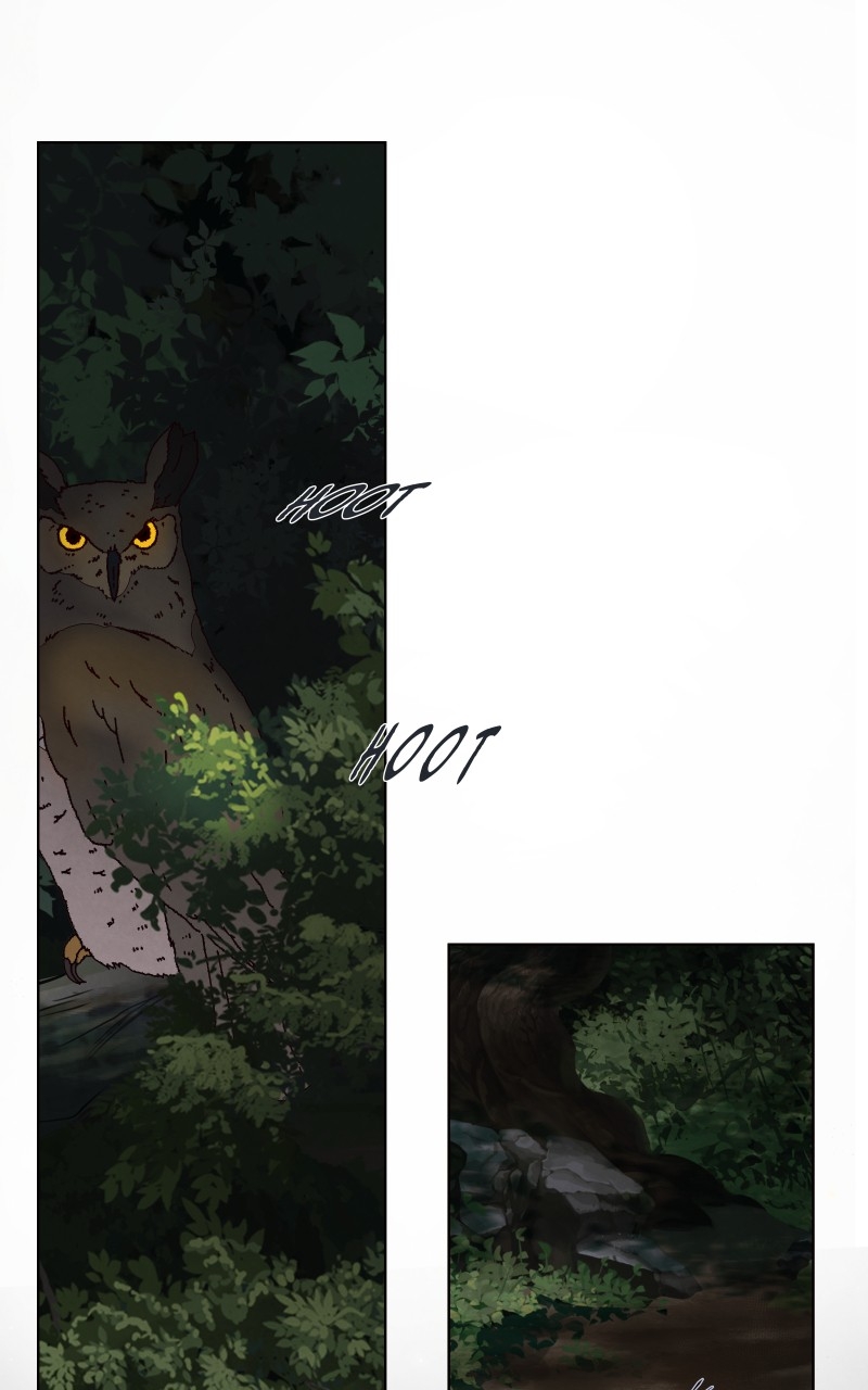 Page (45)